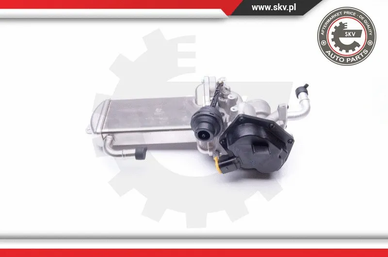 EGR Valve