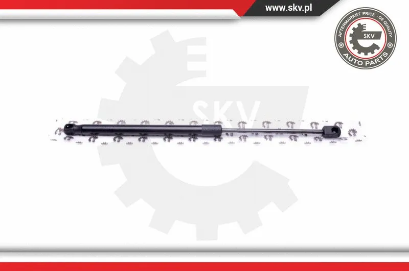 Gas Spring, boot/cargo area