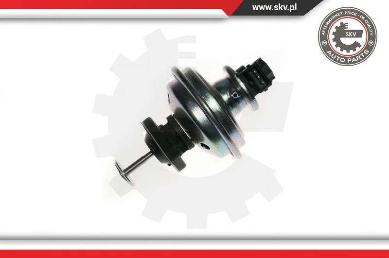 EGR Valve (14SKV078)