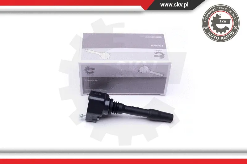 Ignition Coil (03SKV277)