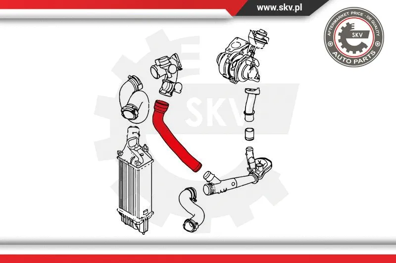 Charge Air Hose