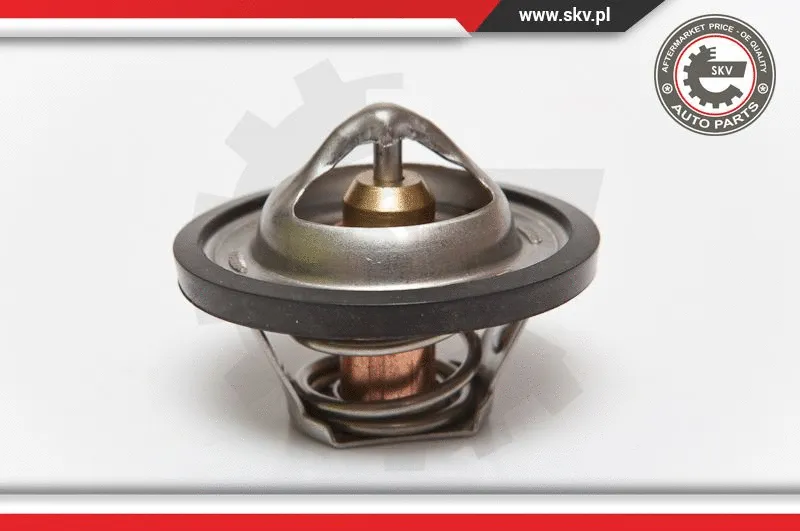 Thermostat, coolant