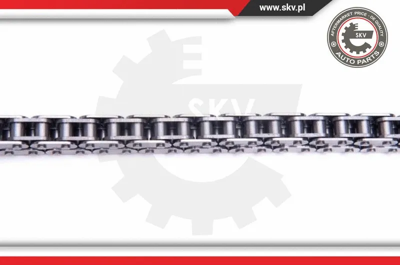 Timing Chain Kit