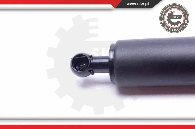 Gas Spring, boot/cargo area