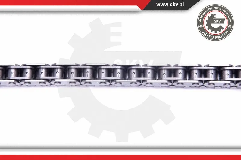 Timing Chain Kit