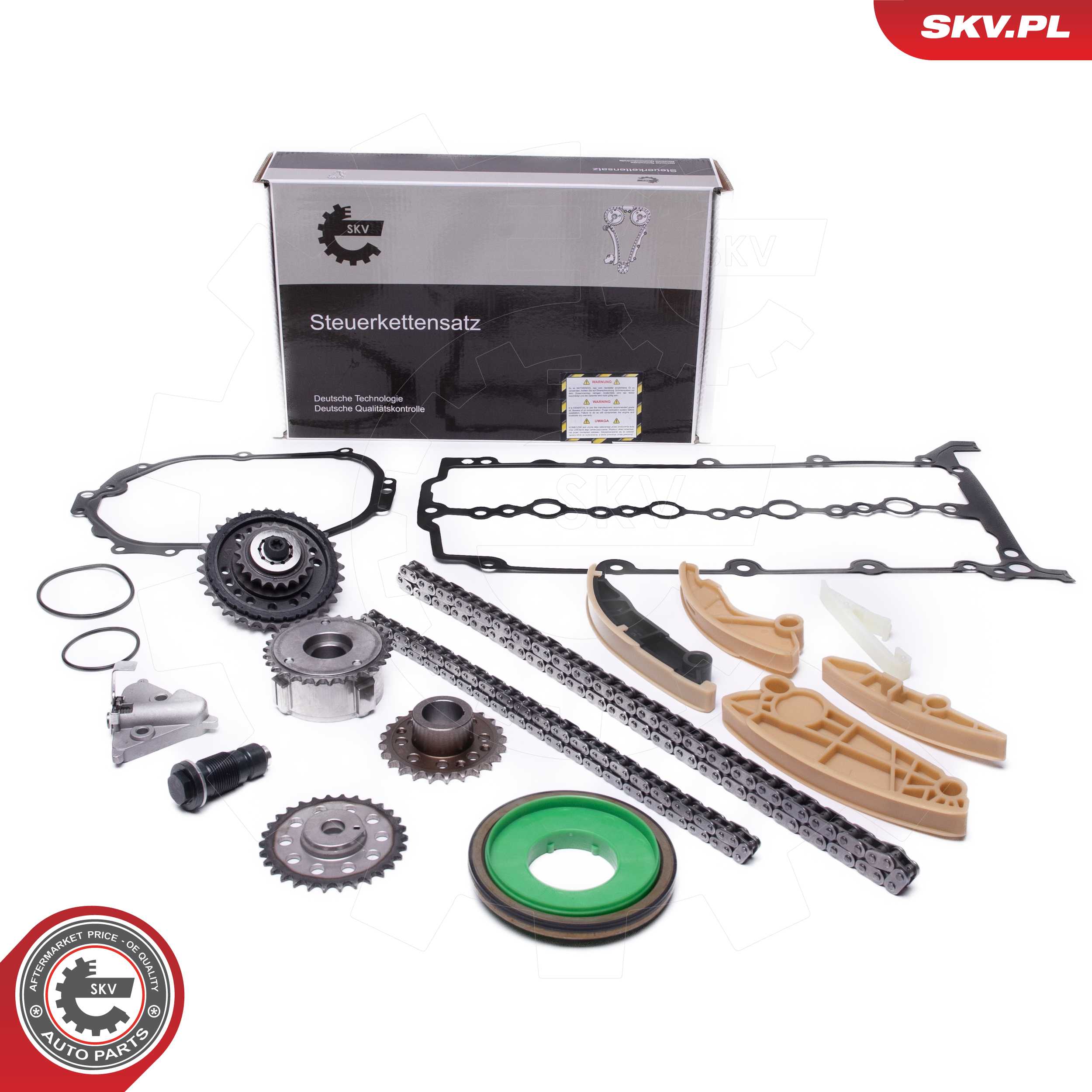 Timing Chain Kit (21SKV251)