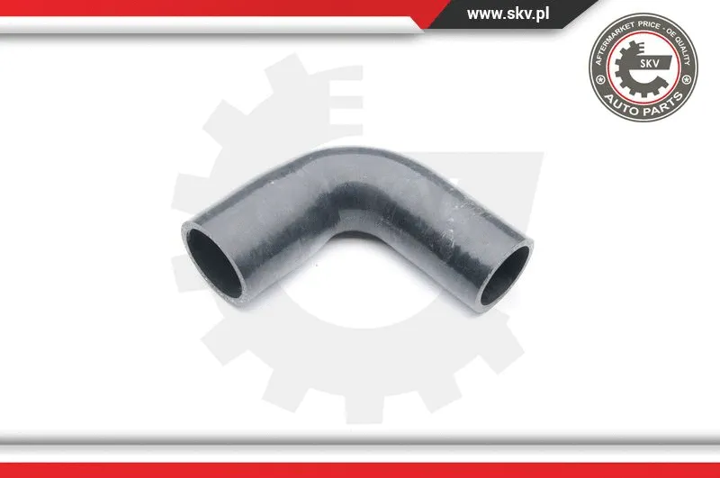 Charge Air Hose (24SKV027)