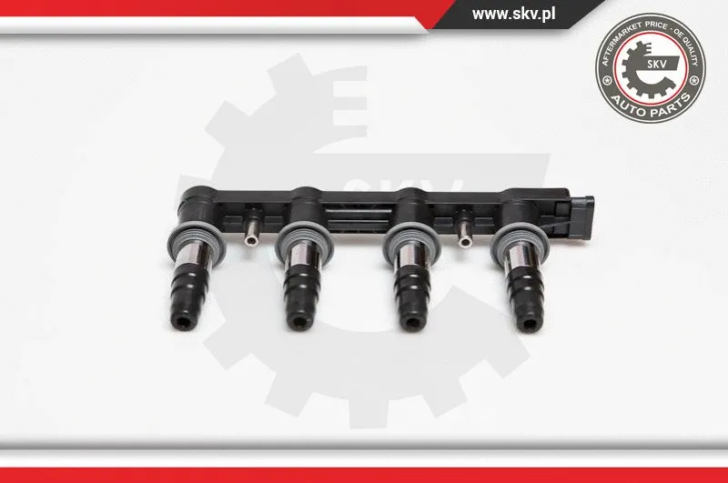 Ignition Coil (03SKV174)