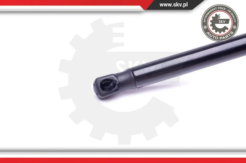 Gas Spring, boot/cargo area