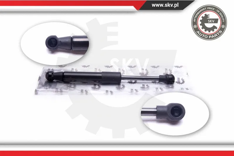 Gas Spring, boot/cargo area