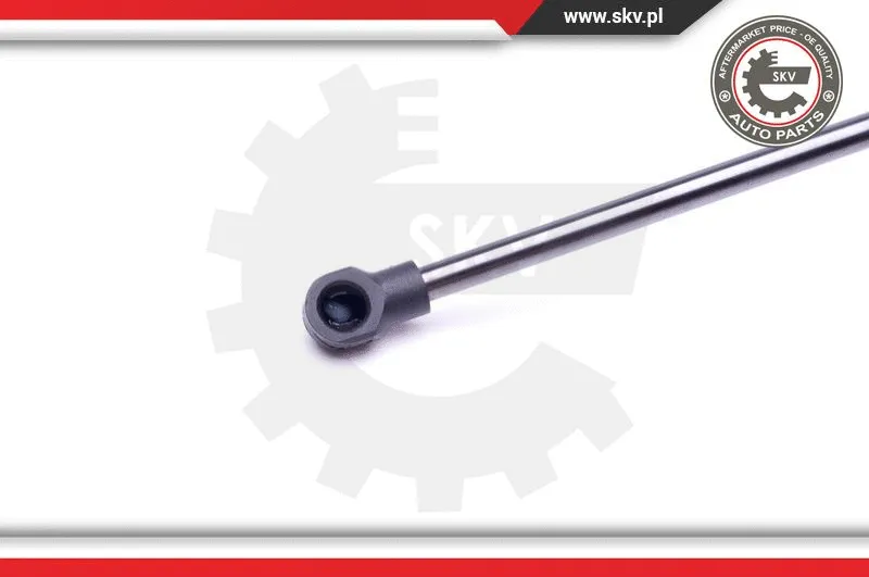 Gas Spring, boot/cargo area