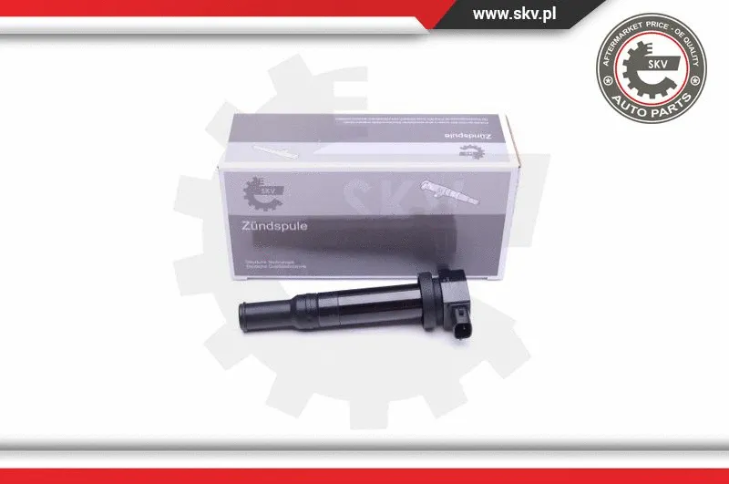 Ignition Coil (03SKV315)