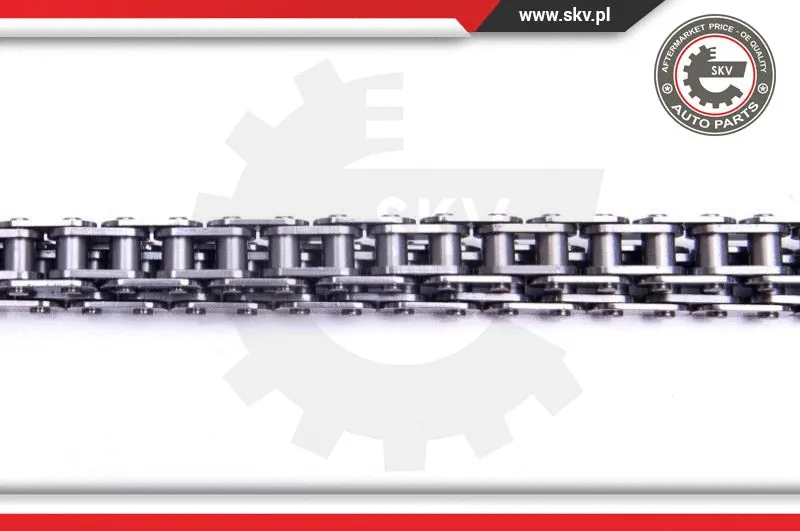 Timing Chain Kit