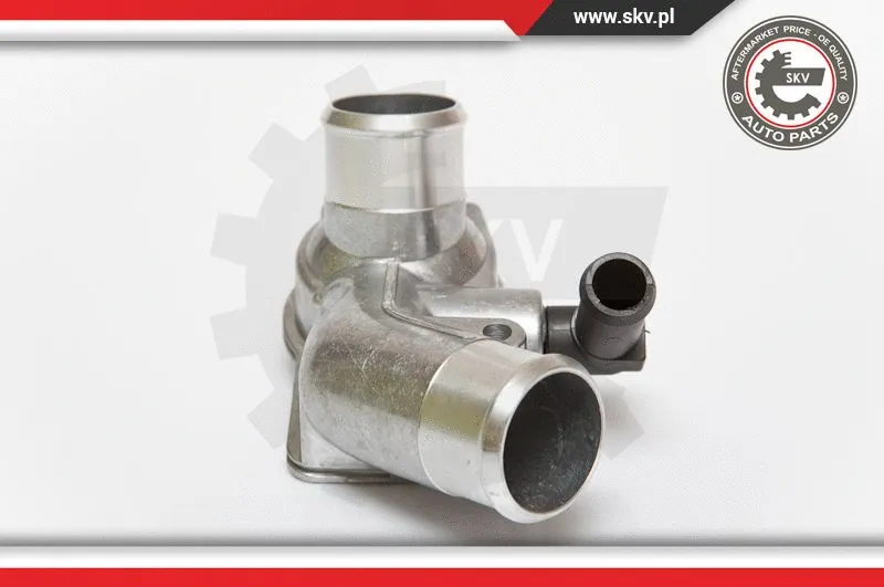 Thermostat, coolant