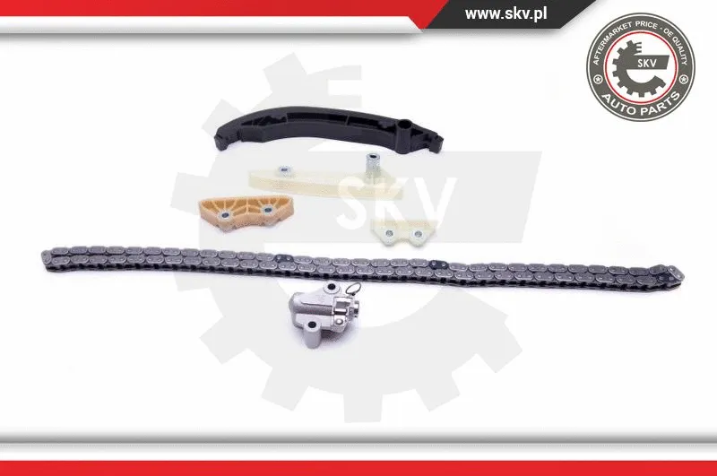 Timing Chain Kit