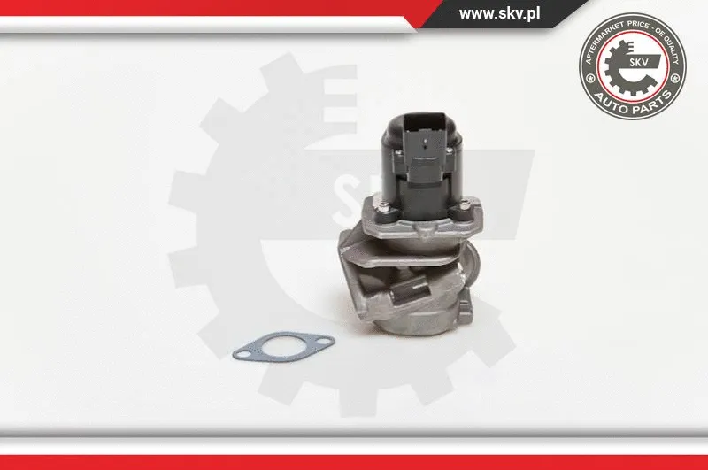 EGR Valve