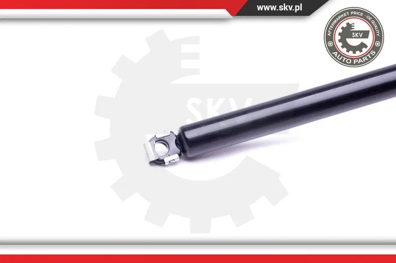 Gas Spring, boot/cargo area
