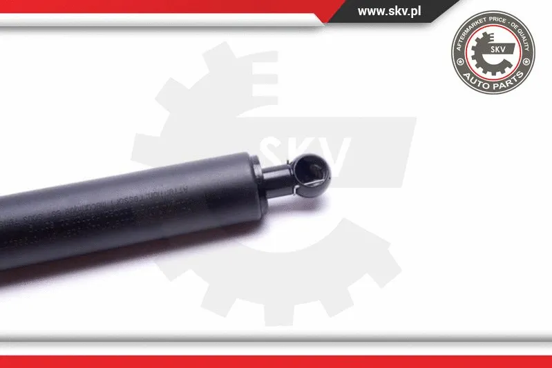 Gas Spring, boot/cargo area