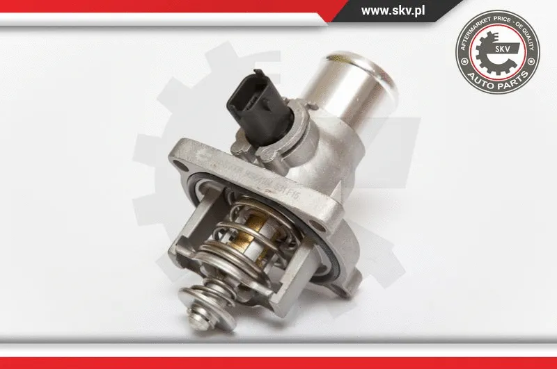Thermostat, coolant