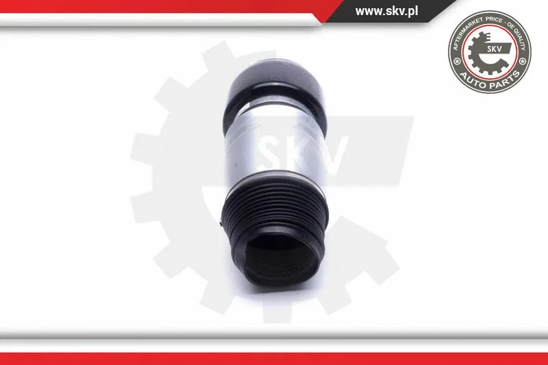 Air Suspension Strut