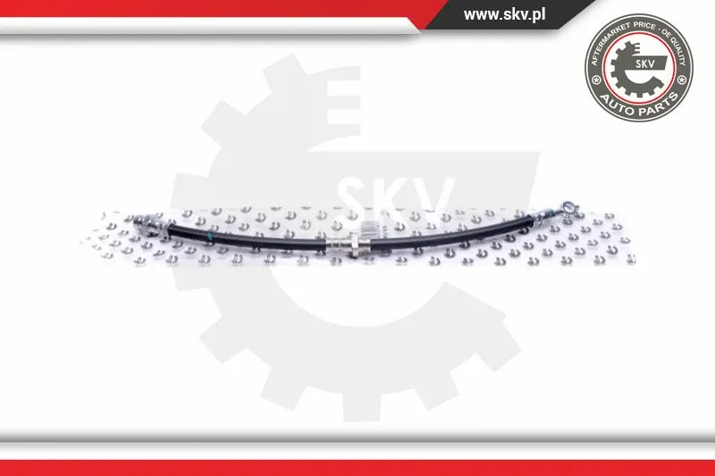 Brake Hose (35SKV163)
