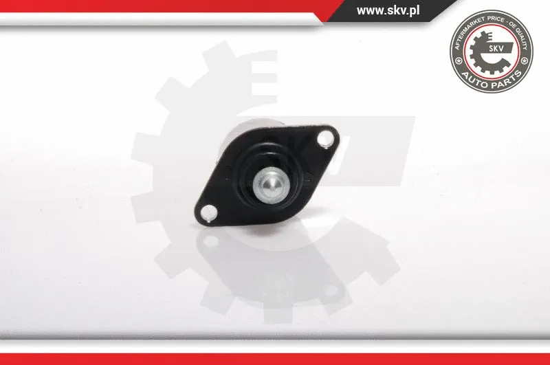 Idle Control Valve, air supply (08SKV031)