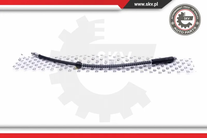 Brake Hose (35SKV132)