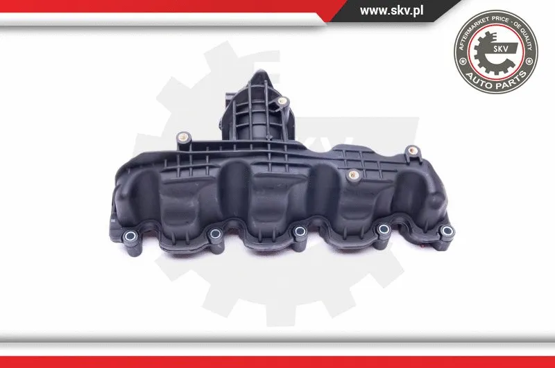 Intake Manifold Module