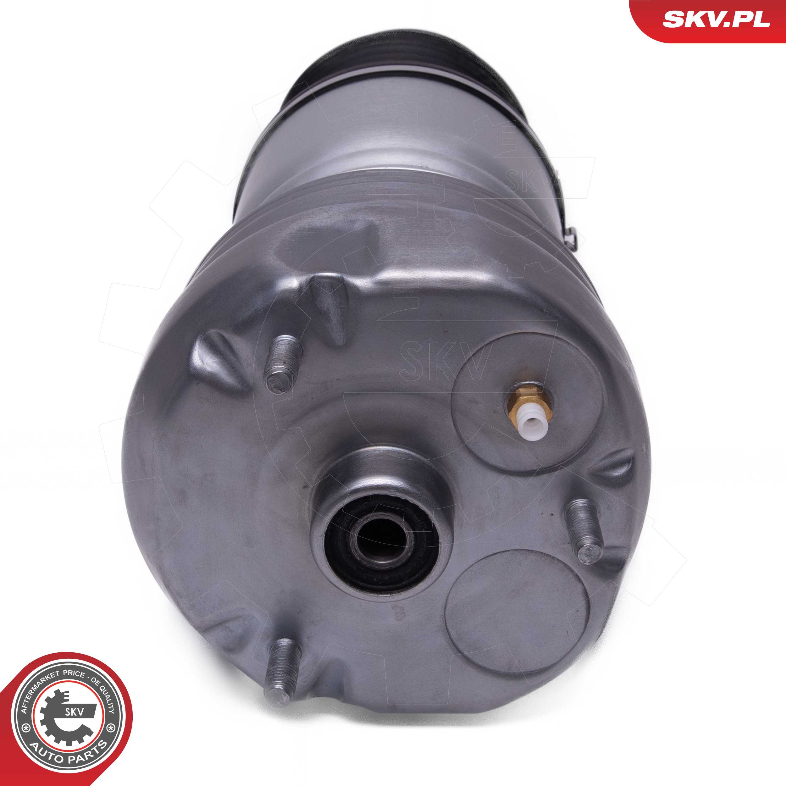 Air Suspension Strut