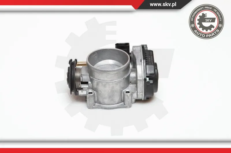 Throttle Body