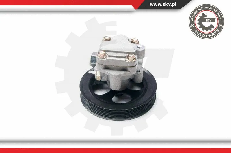 Hydraulic Pump, steering (10SKV216)