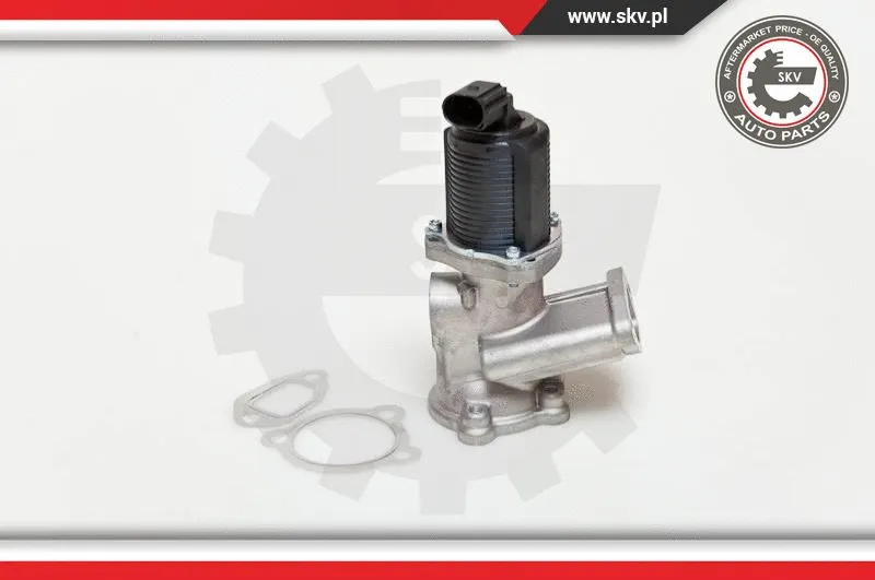 EGR Valve