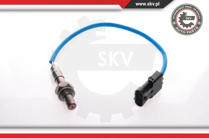 Lambda Sensor (09SKV051)