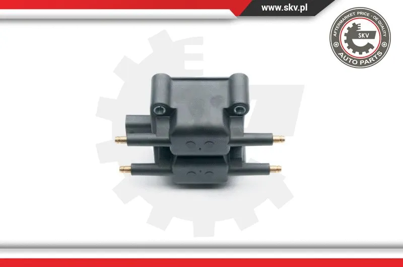 Ignition Coil (03SKV249)