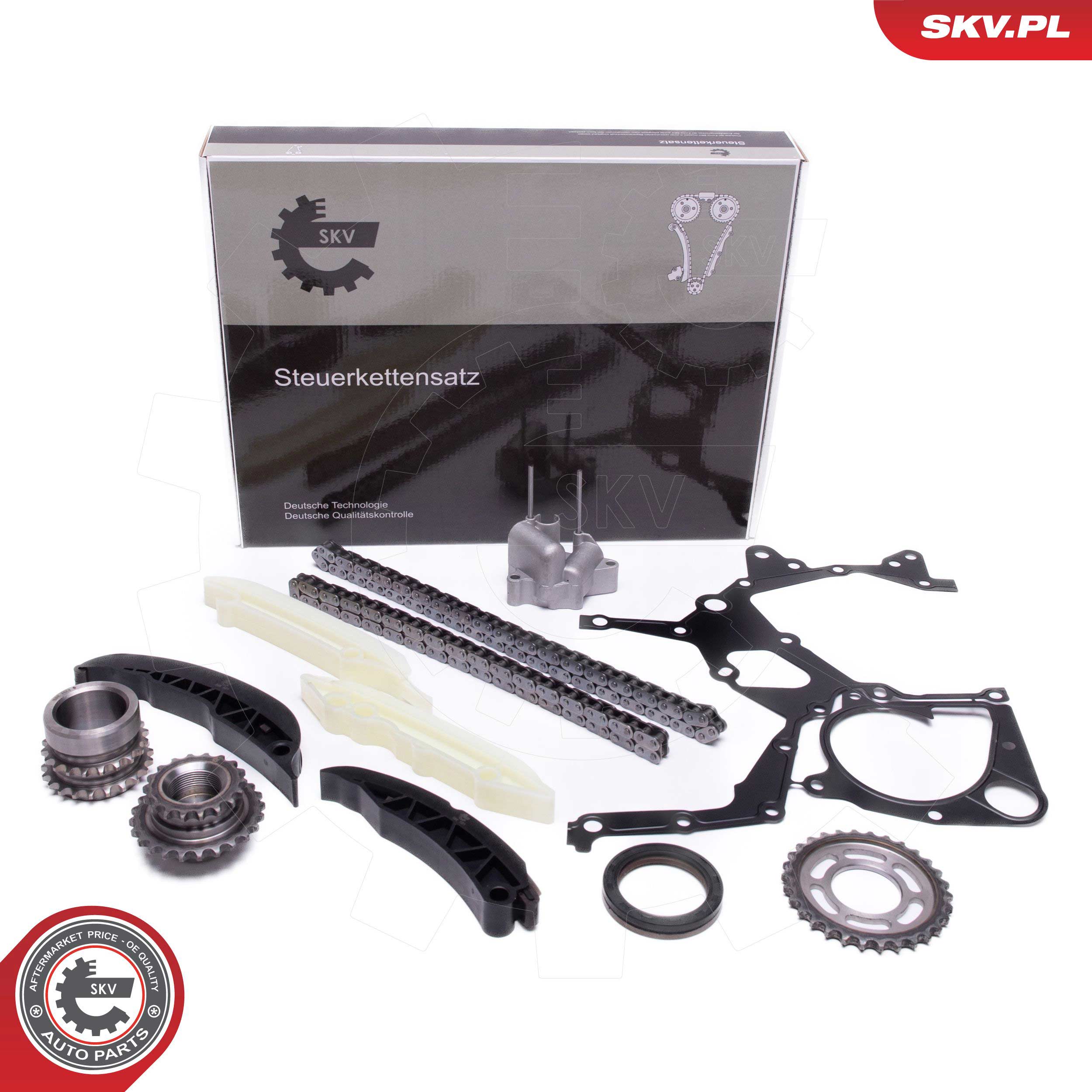 Timing Chain Kit (21SKV166)
