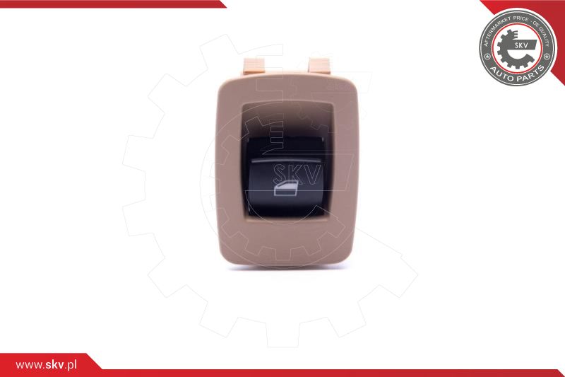 Switch, window regulator