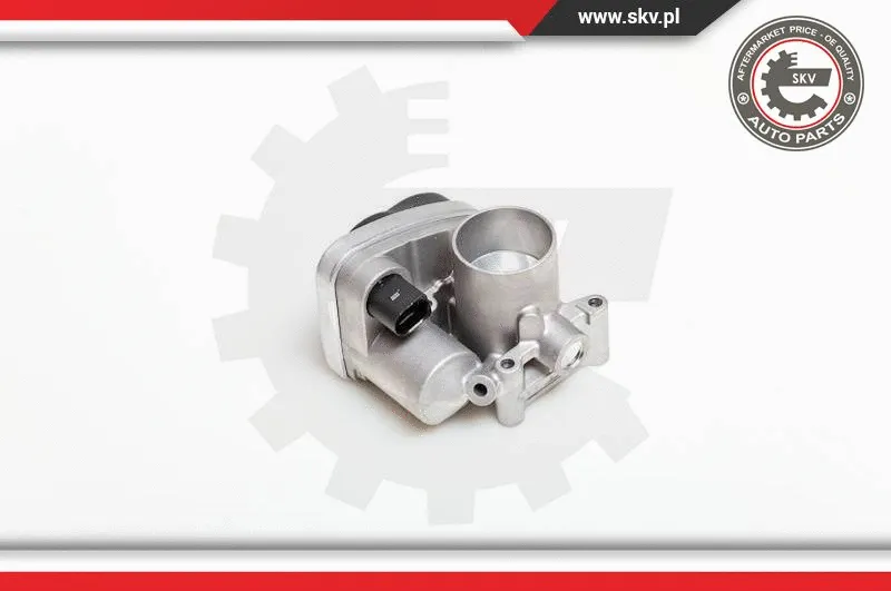 Throttle Body (12SKV030)