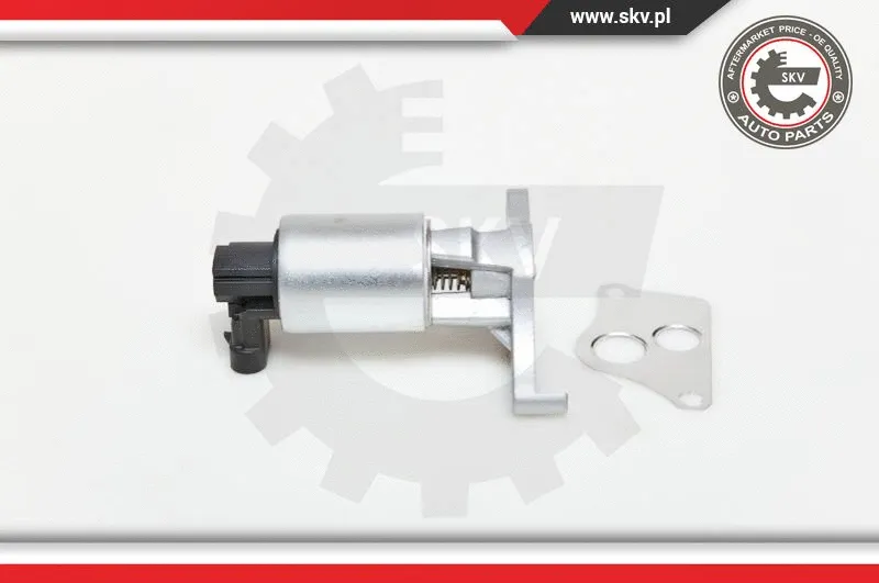 EGR Valve