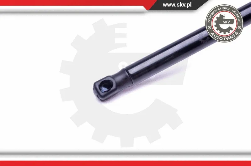 Gas Spring, boot/cargo area