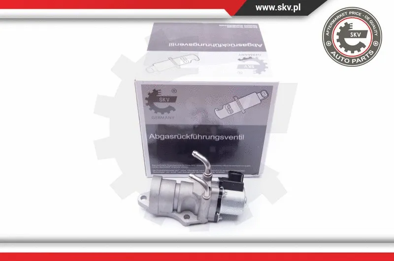 EGR Valve