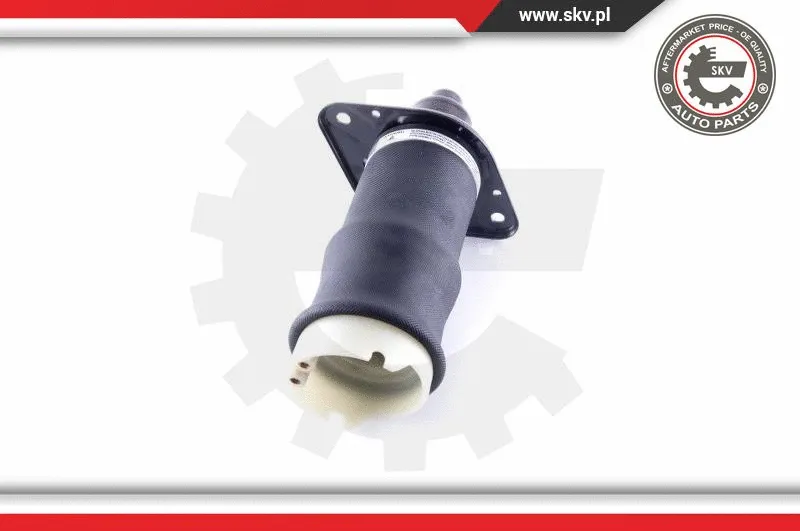 Air Spring, suspension