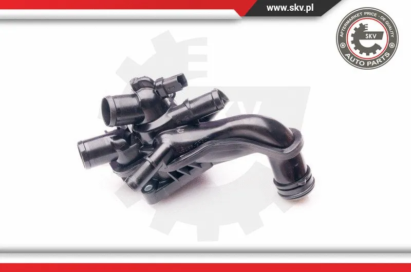 Thermostat, coolant