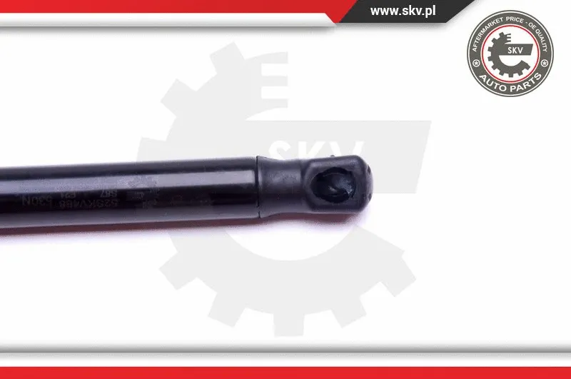 Gas Spring, boot/cargo area