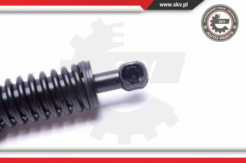 Gas Spring, boot/cargo area