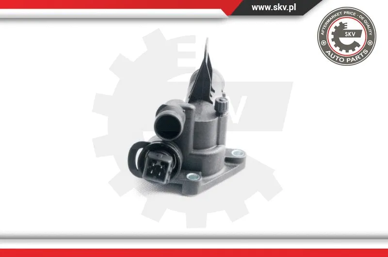 Thermostat, coolant
