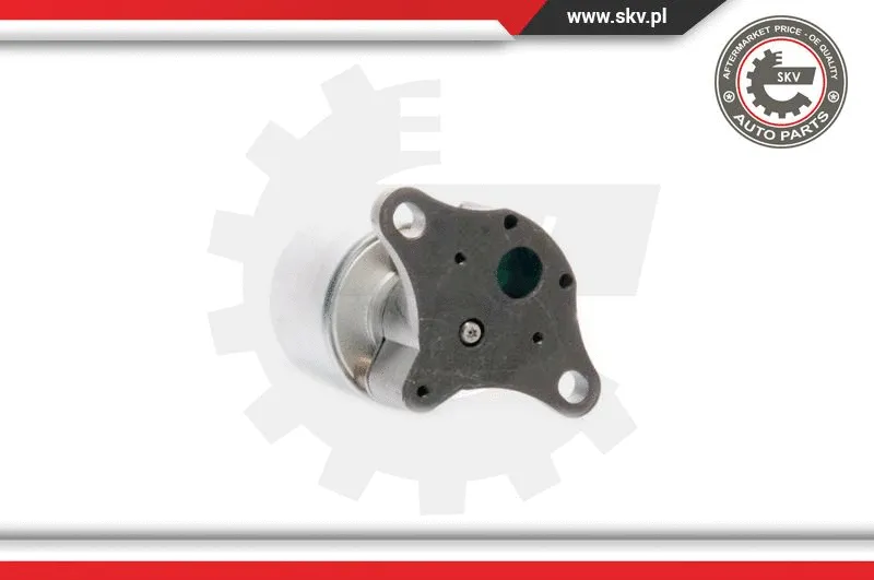 EGR Valve