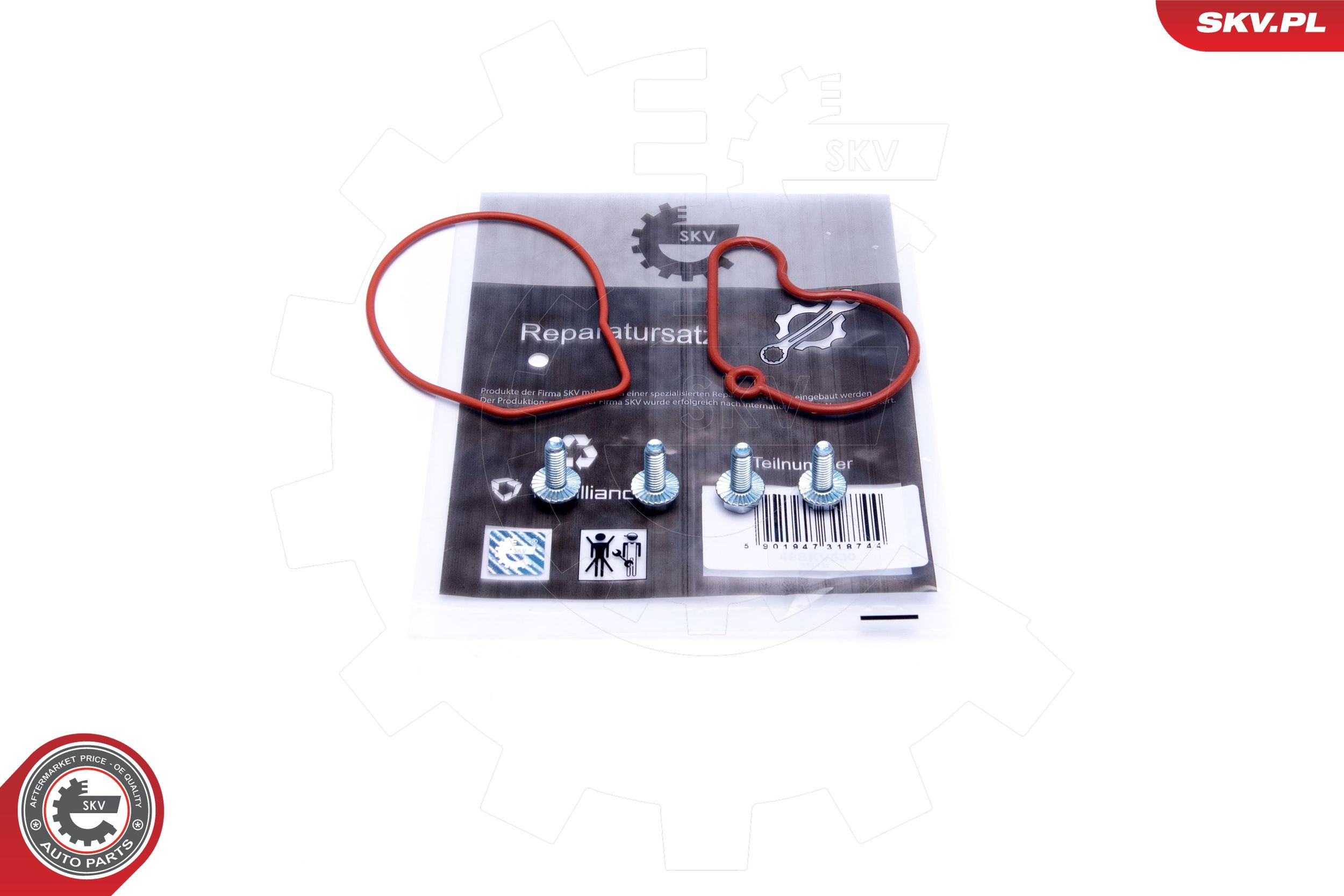 Repair Set, vacuum pump (braking system) (18SKV807)