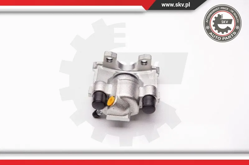 Brake Caliper (34SKV203)
