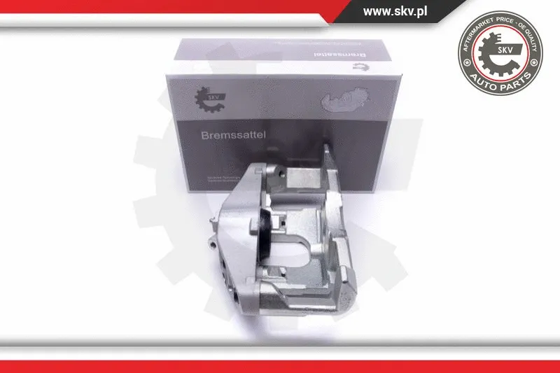 Brake Caliper (55SKV832)