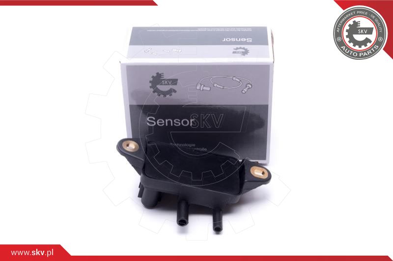 Sensor, exhaust pressure (17SKV774)